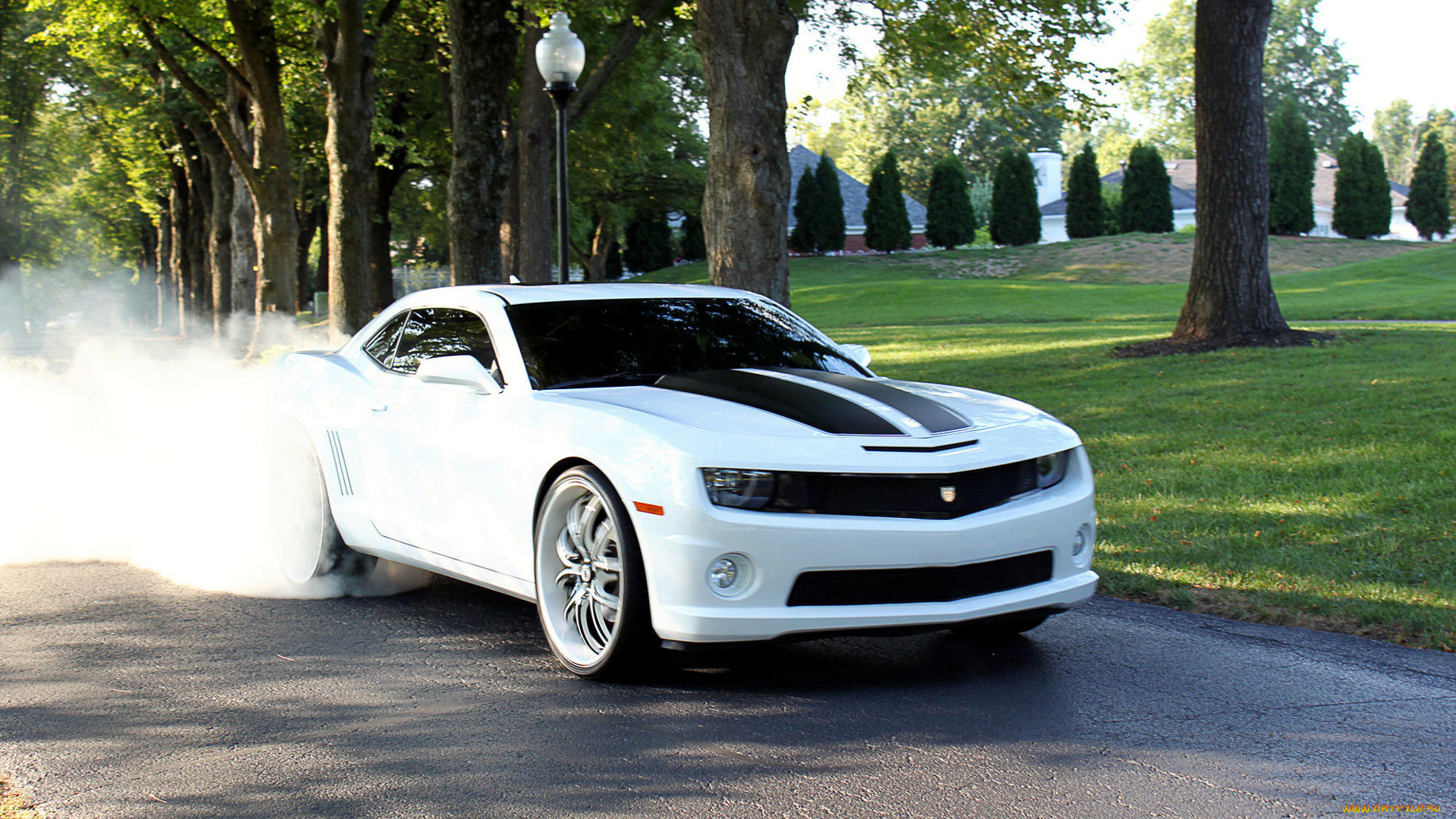 chevrolet, camaro, , , gm, division